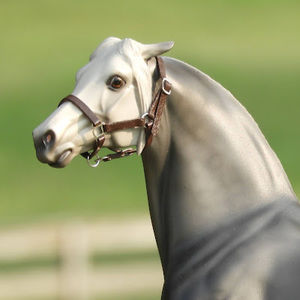 Meet your Posher, Ariel